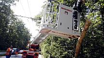 K PÁDU STROMU na trolejové vedení došlo v pátek odpoledne mezi Rybitvím a Lázněmi Bohdančí. Nakloněný strom odstranili přivolaní hasiči. Kvůli bezpečnosti provozu i pracujících hasičů museli dopravu v průběhu prací řídit strážníci.
