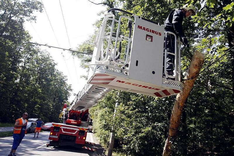 K PÁDU STROMU na trolejové vedení došlo v pátek odpoledne mezi Rybitvím a Lázněmi Bohdančí. Nakloněný strom odstranili přivolaní hasiči. Kvůli bezpečnosti provozu i pracujících hasičů museli dopravu v průběhu prací řídit strážníci.