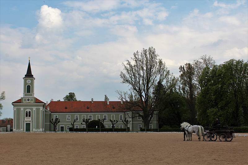 Národní hřebčín Kladruby nad Labem