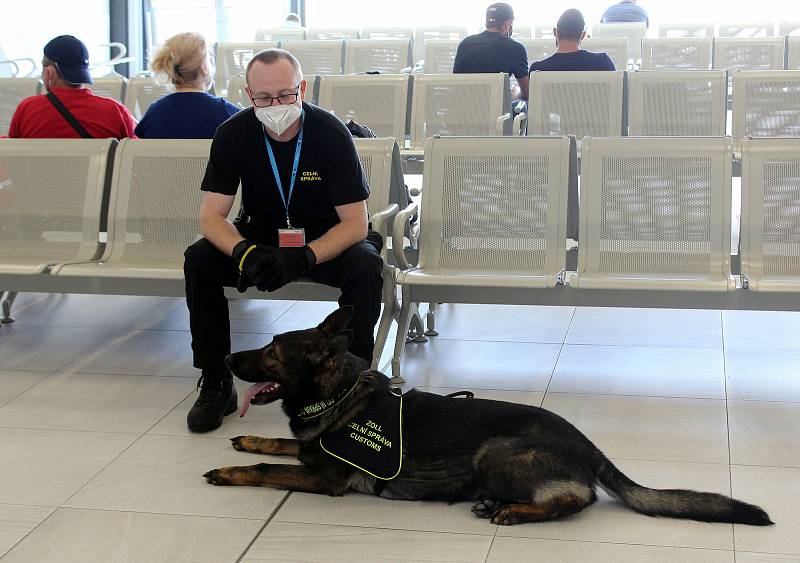 Psovod Celní správy se psem kontrolovali, zda cestujíci na letišti v Pardubicích nepřeváží nenahlášenou hotovost a cennosti nad limit daný novou regulí EU.