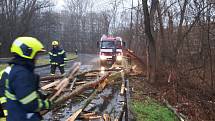 Na projíždějící auto spadl strom v pardubických Polabinách.