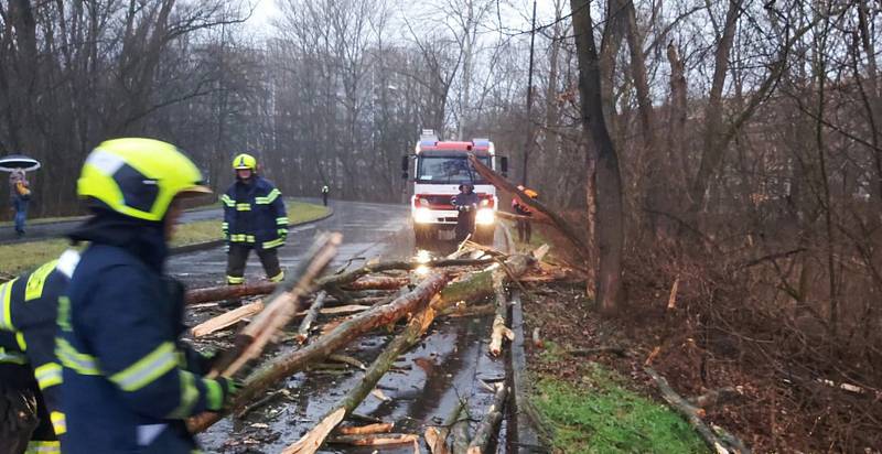 Na projíždějící auto spadl strom v pardubických Polabinách.