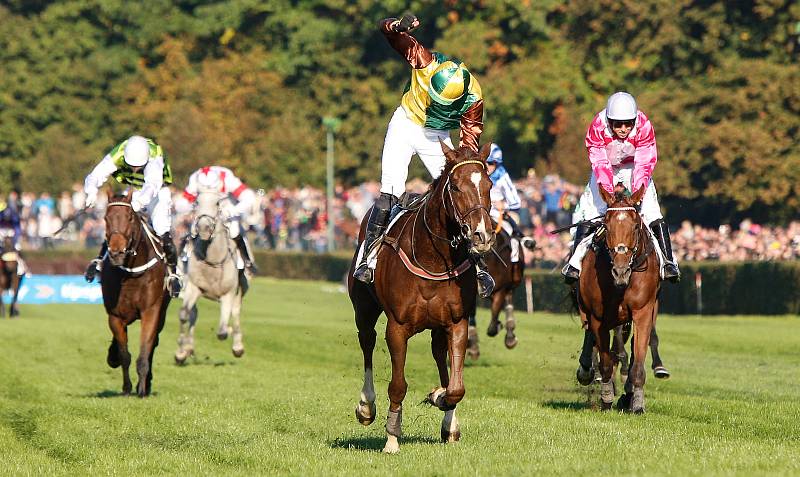 Vítězem 131. Velké pardubické se stal Talent v sedle s Pavlem Složilem