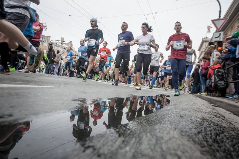 Pardubický vinařský půlmaraton 2016. Hlavní závod.