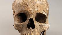 Vědci zrekonstruovali podobu ženy pohřbené před čtyřmi tisíci lety u Pardubic