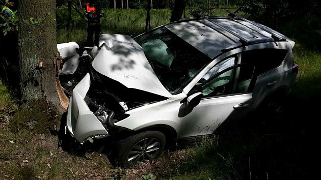 Při dopravní nehodě u Býště se hasiči museli postarat i o zraněné psy.