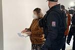Policisté vedou k soudu ženu, která podle všeho vyhodila své novorozeně do kontejneru. Soud rozhodoval o jejím vzetí do vazby.