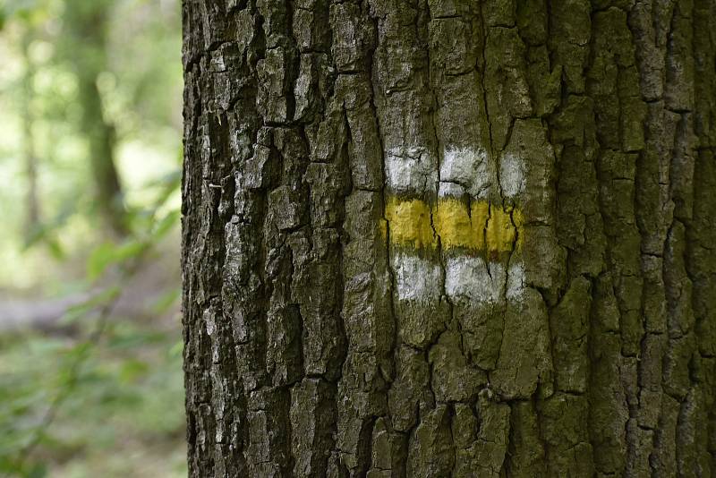 Turistické značky jsou dílem Klubu českých turistů (KČT), díky němuž Česká republika patří mezi země s nejhustší sítí turistického značení na světě.