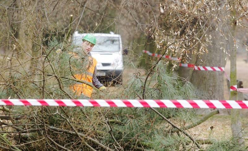 V Tyršových sadech se 15. března začalo kácet