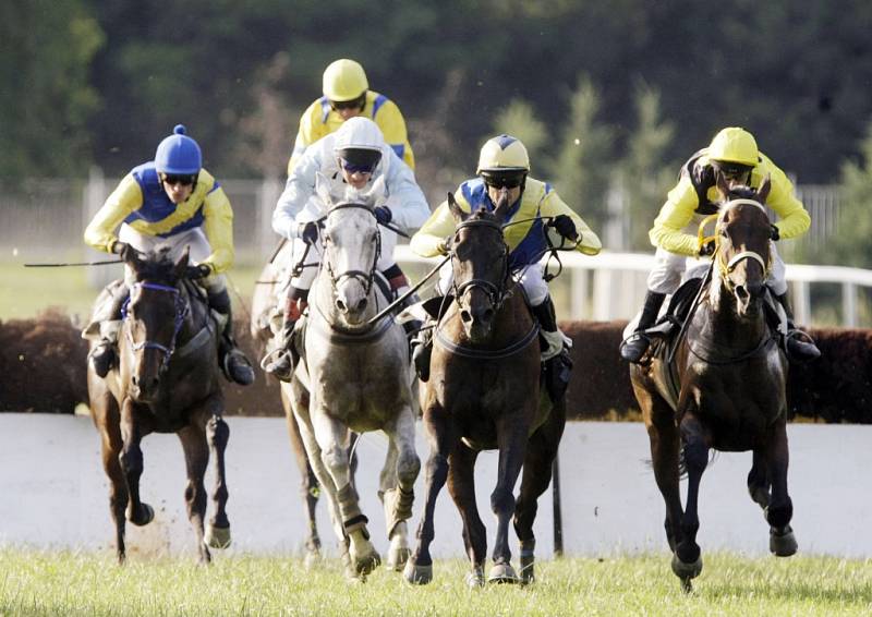 V Pardubicích se běžela 2. kvalifikace na Velkou pardubickou 