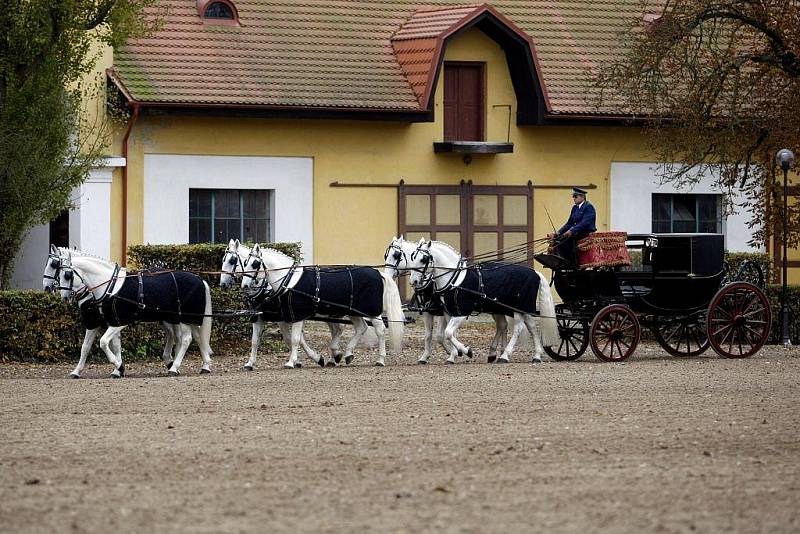 Se správcem hřebčína Jiřím Černým, který zahynul při dopravní nehodě, se včera v kostele rozloučili příbuzní, přátelé i zaměstnanci hřebčína.