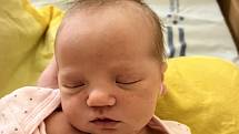 Stella Picková se narodila 15. ledna 2023. Šťastní rodiče  Kateřina a Aleš jsou z Chrudimi.