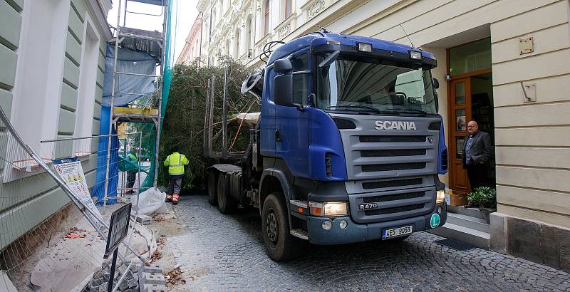 Do Pardubic doputoval letošní vánoční stromeček. Tentokrát dorazil z Dašic