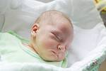František Sejkora se narodil v úterý 5. května v 9:55 hodin. Vážil 3810 gramů a měřil 52 centimetrů. Maminku Petru u porodu podpořil tatínek Marek a rodina je z Chýště. 