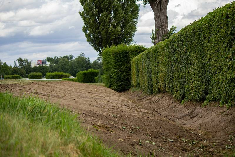 Nejobávanější překážka Velké pardubické by měla být již bezpečnější. Taxisův příkop prošel na začátku týdne úpravou, díky níž by nemělo na překážce docházet k fatálním pádům.