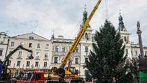 Strom pro Pardubice dorazil na Pernštýnské náměstí v pondělí.