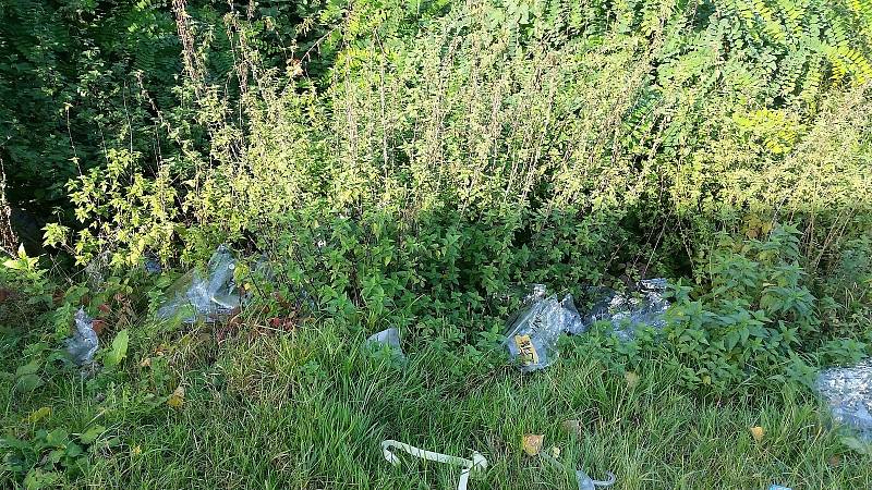 Dobrovolníci uklidili přírodu v centru města Pardubic. Uklízelo se nedaleko hlavního pardubického nádraží za nákupní zónou. Za necelé dvě hodiny se podařilo sebrat 161 kilogramů odpadu.