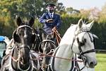 Zahájení 130. Velké pardubické se Slavia pojišťovnou, která se konalo před prázdnými tribunami na pardubickém dostihovém závodišti.