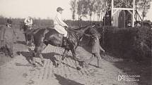 VP 1907, Cena města Pardubic (proutěné překážky na 2800m, kůň Salmhof s jezdcem Lawtonem, za ním Otiginell se Slinnem (byl diskvalifikován), pozůstalost majora Miloše Svobody.