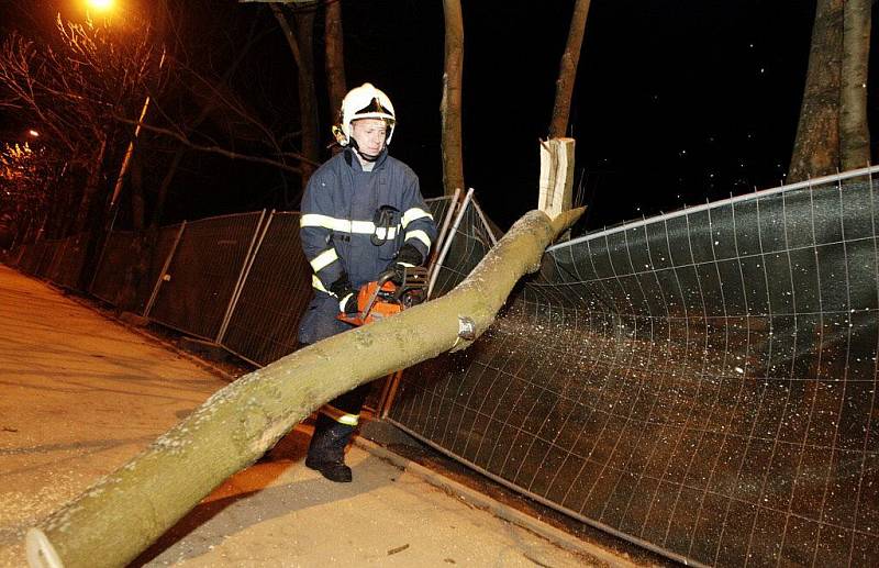Strom spadlý na trolejové vedení museli odstranit až přivolaní hasiči 