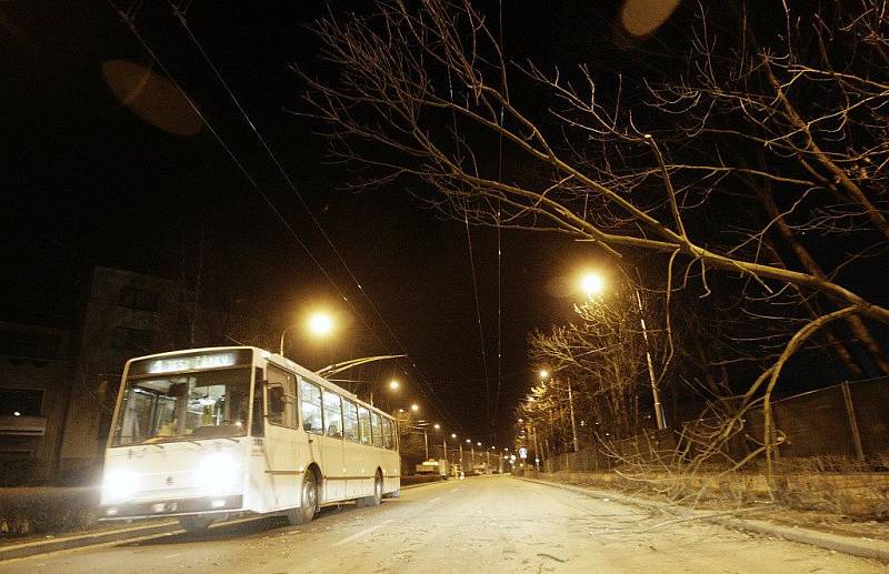 Na trolejové vedení v Dašické ulici se zřítil strom. Ukázalo se, že ale nešlo o náhodu.