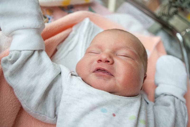 Zoe Zemanová se narodila 7. června v 18:15 hodin. Měřila 50 centimetrů a vážila 3550 gramů. Maminku Markétu u porodu podpořil tatínek David. Rodina je z Pusté Kamenice.