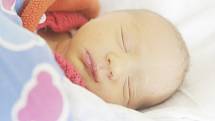 Jitka Diethild Jelínková se narodila 21. listopadu v 8:56 hodin. Vážila 2320 gramů. Maminka Jitka a tatínek David jsou ze Starých Čívic, kde čeká ještě brácha David.