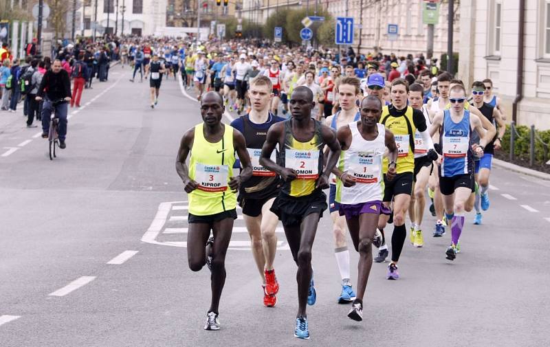 Pardubický vinařský půlmaraton 2015