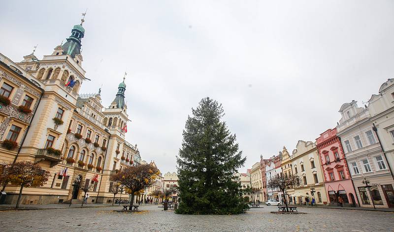 Do Pardubic doputoval letošní vánoční stromeček. Tentokrát dorazil z Dašic