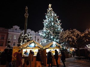 Na Pernštýnském náměstí byl 3. prosince slavnostně rozsvícen patnáctimetrový vánoční strom