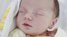 Ema Langerová se narodila 18. srpna v 16:53 hodin. Měřila 49 centimetrů a vážila 3170 gramů. Maminku Kristýnu u porodu podpořil tatínek Marek a rodina je z Dašic.