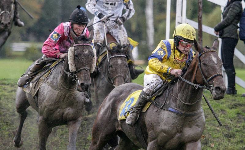 Velká pardubická 2017. 