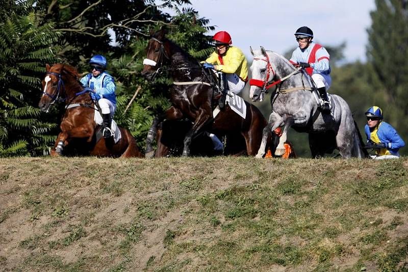 Snímek z poslední kvalifikace na Velkou Pardubickou.