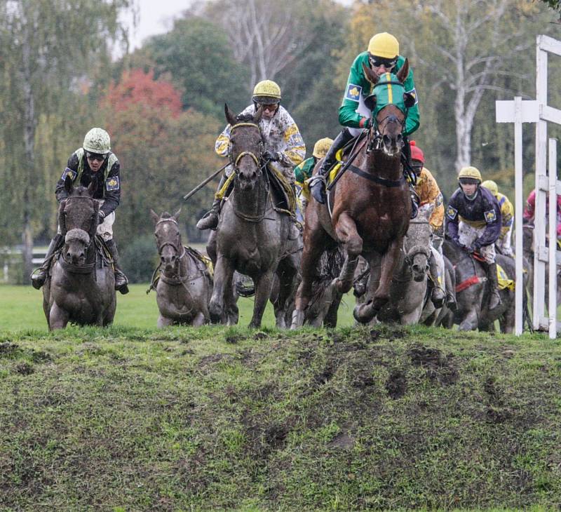 Velká pardubická 2017. 