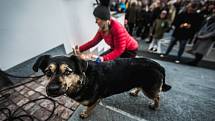 Zapálení pro demokracii. Události 17. listopadu si před Východočeským divadlem v Pardubicích připomenulo několik stovek lidí.