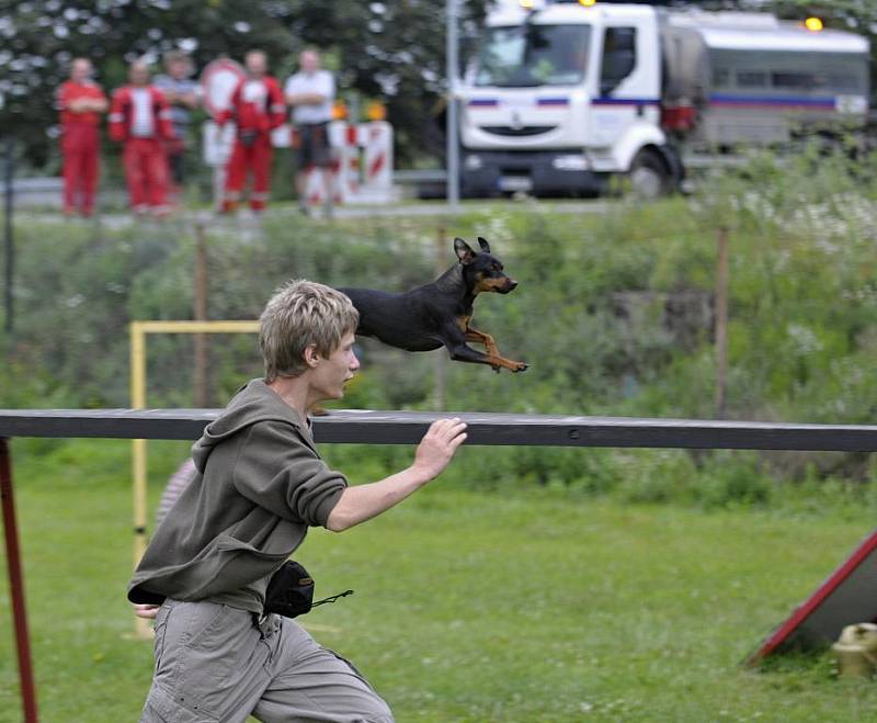 V kynologickém areálu v Nemošicích se koná čtvrtý ročník tábora, který je zaměřen na výcvik zvířecích miláčků