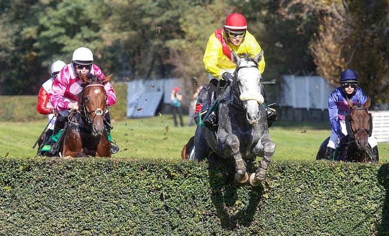 Zahájení 129. Velké pardubické se Slavia pojišťovnou na pardubickém dostihovém závodišti .