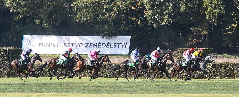 Zahájení 129. Velké pardubické se Slavia pojišťovnou na pardubickém dostihovém závodišti .