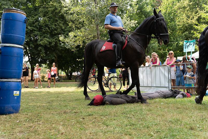 Součástí Městské policie Pardubice je i jízdní oddíl. Koně jdou do akce třeba při velkých sportovních utkáních, kdy se nezaleknou rozdivočelých fanoušků ani petard.