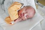 ŠIMON KRAUS se narodil 25. listopadu v 6:13 hodin. Měřil 47 centimetrů a vážil 2760 gramů. Maminku Laďku u porodu podporoval tatínek Luboš a doma v Pardubicích čeká ještě Dominika (16) a Mathias (9). 