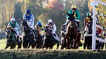 Vítězem 129. Velké pardubické se Slavia pojišťovnou na pardubickém dostihovém závodišti se stal Theophilos s Josefem Bartošem.