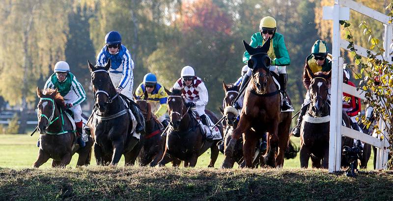 Vítězem 129. Velké pardubické se Slavia pojišťovnou na pardubickém dostihovém závodišti se stal Theophilos s Josefem Bartošem.