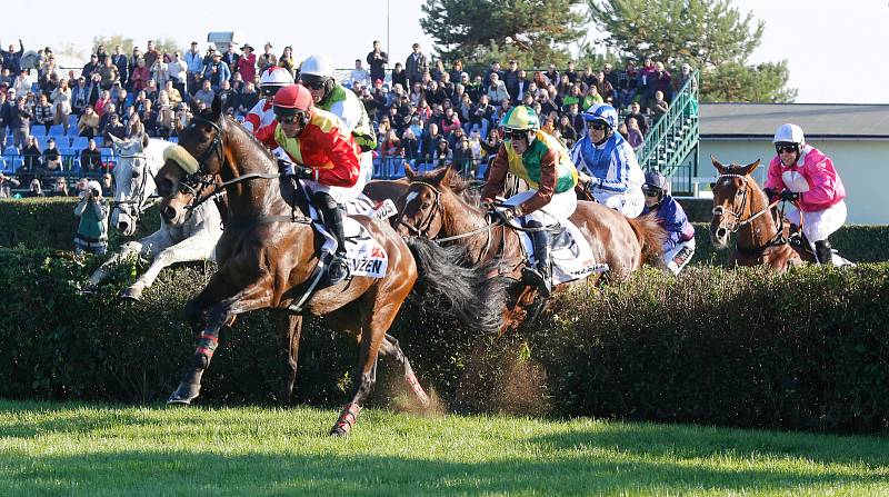 Vítězem 131. Velké pardubické se stal Talent v sedle s Pavlem Složilem