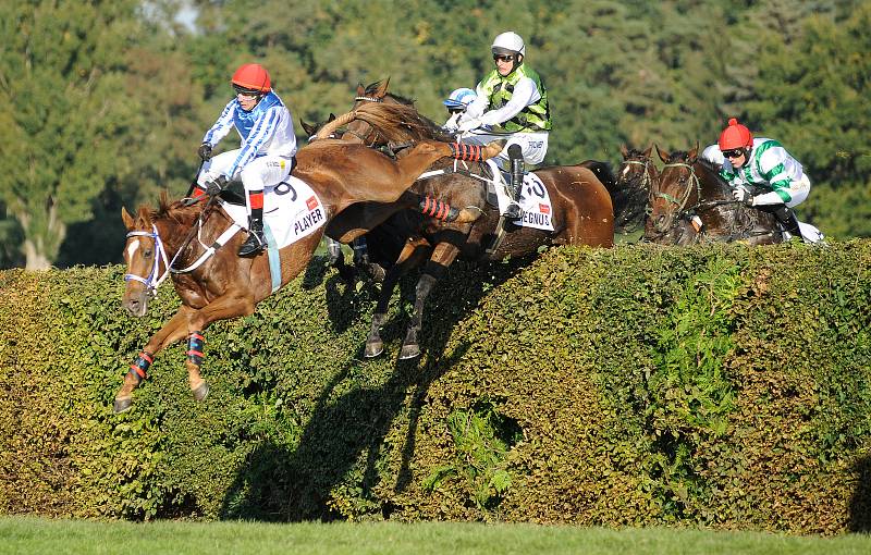 Vítězem 131. Velké pardubické se stal Talent v sedle s Pavlem Složilem