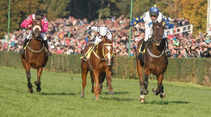 125. Velká pardubická - hlavní dostih. V cílové rovince neměl Nikas konkurenci.