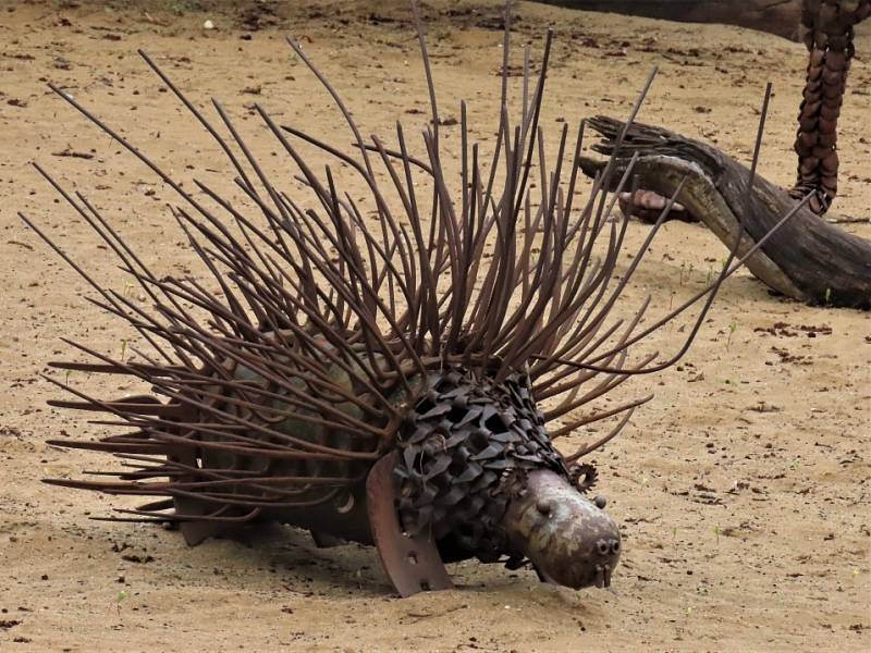 Neobvyklá zoologická zahrada