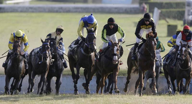 V Pardubicích se běžela 2. kvalifikace na Velkou pardubickou 