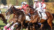 Vítězem 129. Velké pardubické se Slavia pojišťovnou na pardubickém dostihovém závodišti se stal Theophilos s Josefem Bartošem.