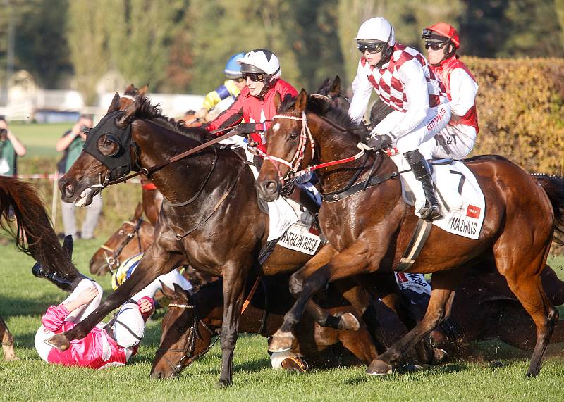 Vítězem 129. Velké pardubické se Slavia pojišťovnou na pardubickém dostihovém závodišti se stal Theophilos s Josefem Bartošem.