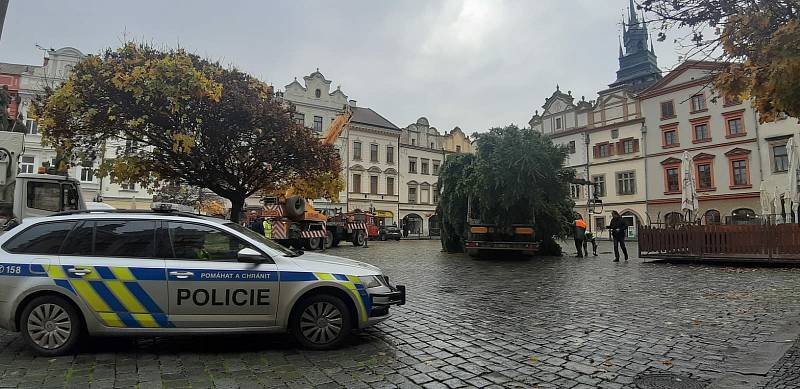 Pardubické náměstí už také zdobí vánoční strom.